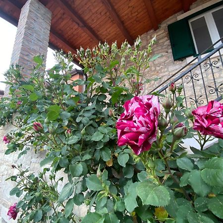 Villa Kortina Bašanija Екстериор снимка
