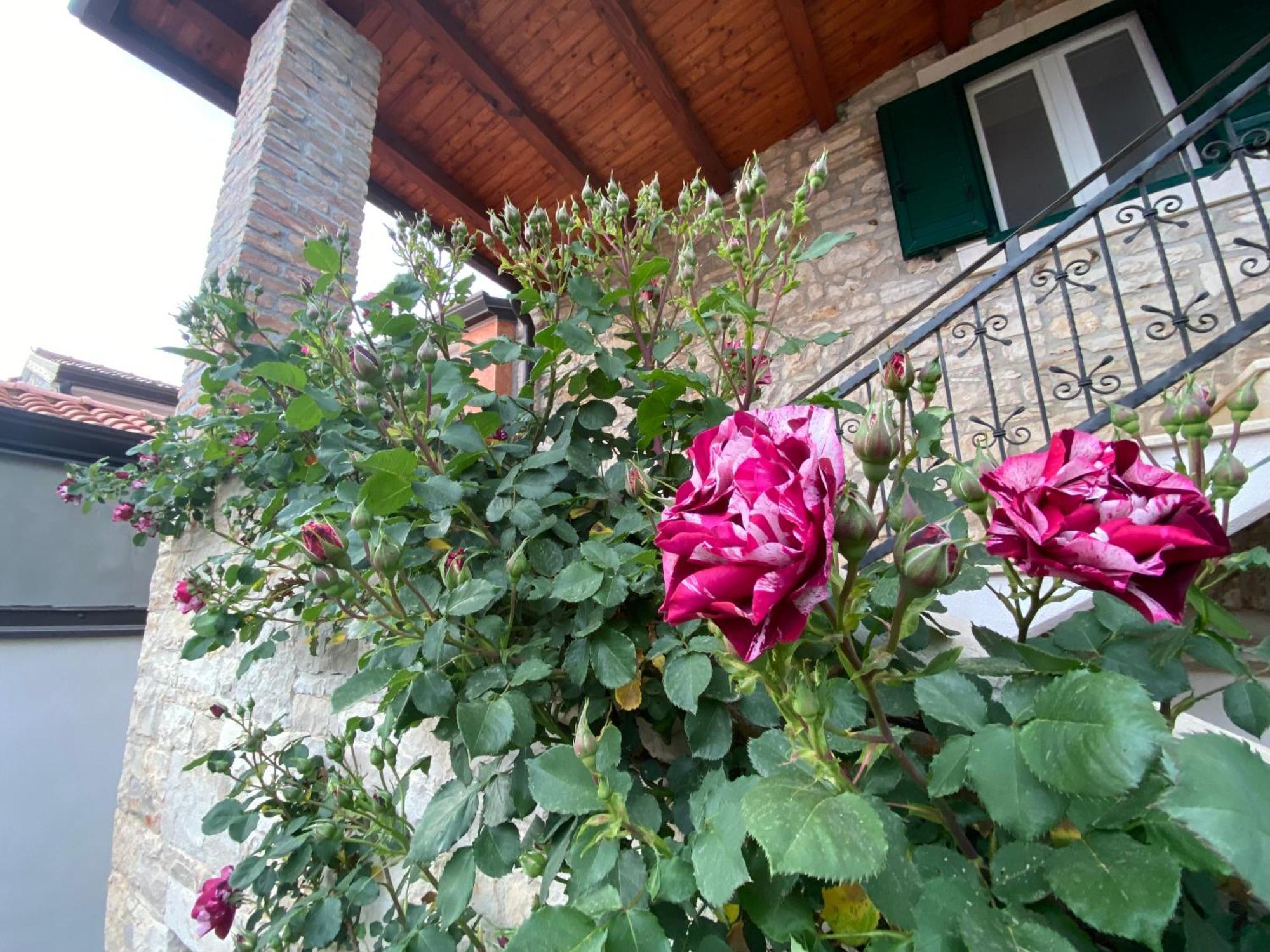 Villa Kortina Bašanija Екстериор снимка